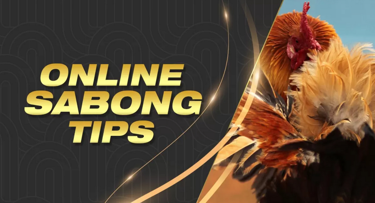 online sabong tips